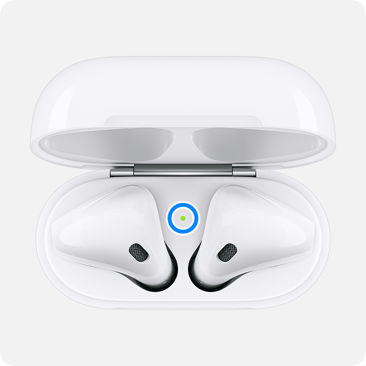 status light inside the charging case