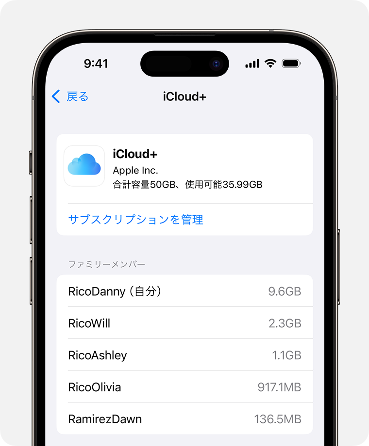 iPhone の画面に「Manage This Subscription」(このサブスクリプションを管理) の手順が表示されているところ