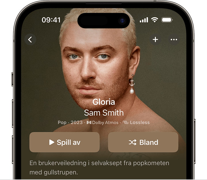 iPhone som viser Bland-knappen øverst i et album i Apple Music-appen