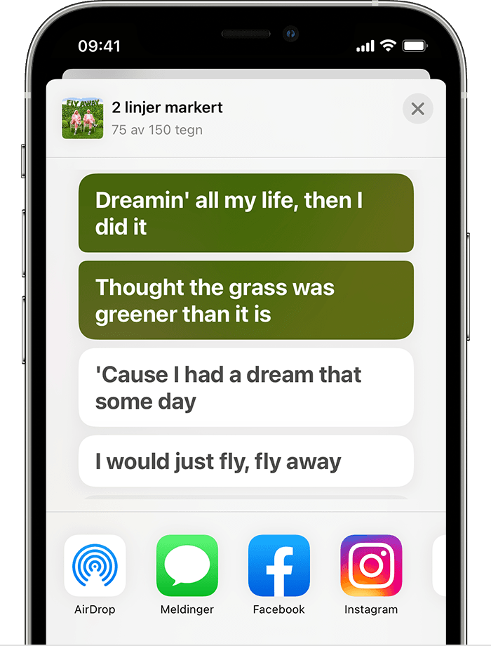 iPhone som viser delingsarket med to linjer fra den valgte sangen. 