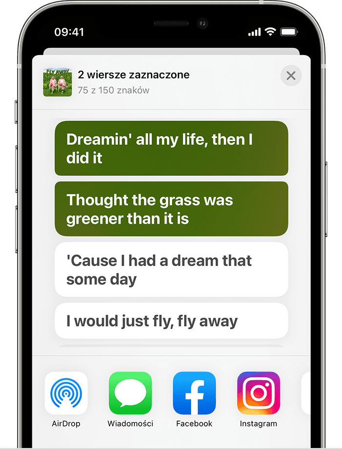 iPhone wyświetlający arkusz udostępniania z wybranymi dwoma wersami utworu 