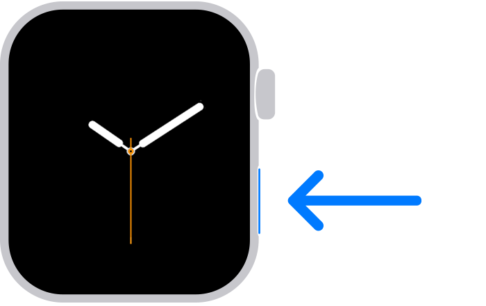 Use the buttons and screen on your Apple Watch - Apple Support (CA)