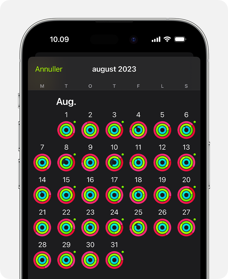 En iPhone-skærm med en visning af det samlede aktivitetsresume for måneden