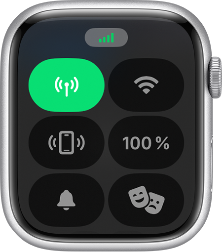 Informationen zu Bluetooth WLAN und Mobilfunknetz auf der Apple Watch Apple Support DE