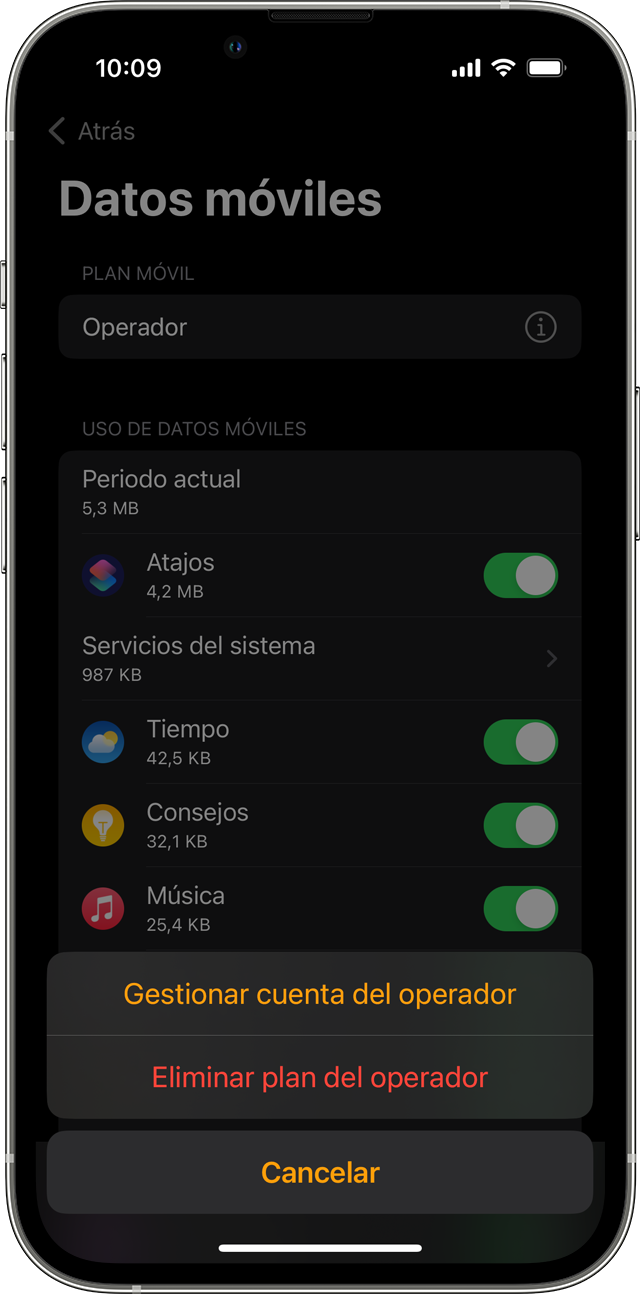 iPhone que muestra la pantalla de datos móviles en la app Watch