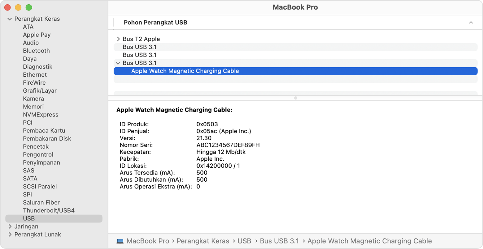 Laporan Sistem MacBook Pro yang menampilkan detail produsen Kabel Pengisian Daya Magnetis Apple Watch