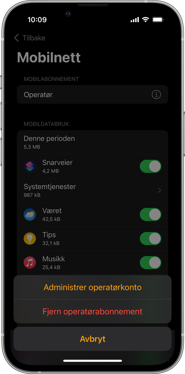 iPhone som viser Mobilnett-skjermen i Watch-appen