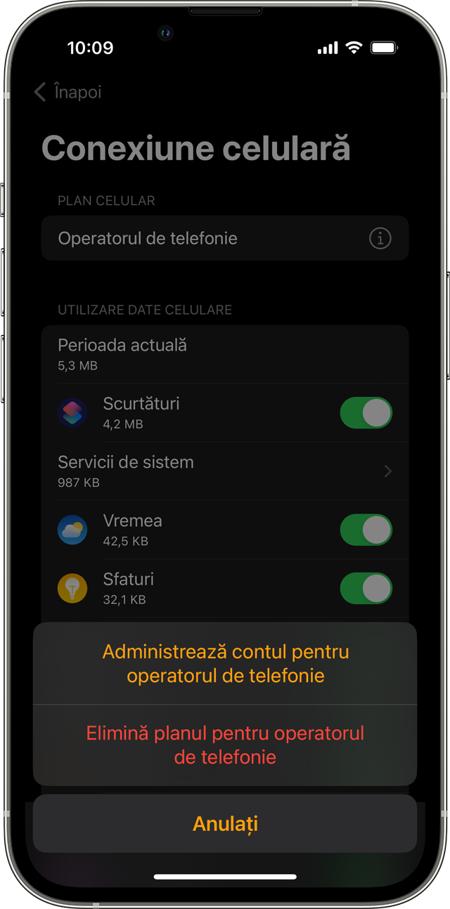iPhone care afișează ecranul Conexiune celulară în aplicația Watch