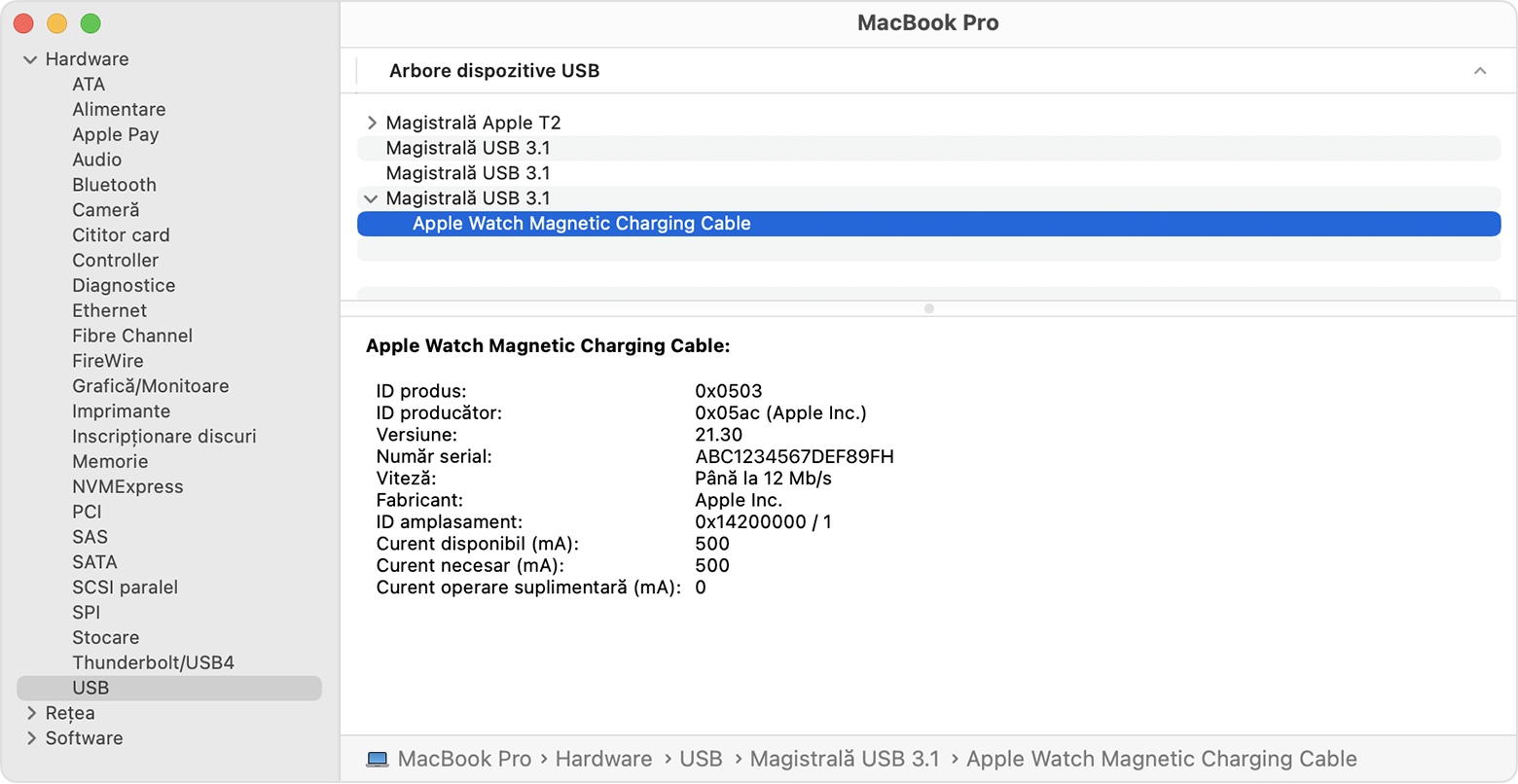 Raport de sistem pe MacBook Pro afișând detaliile producătorului cablului de încărcare magnetic pentru Apple Watch