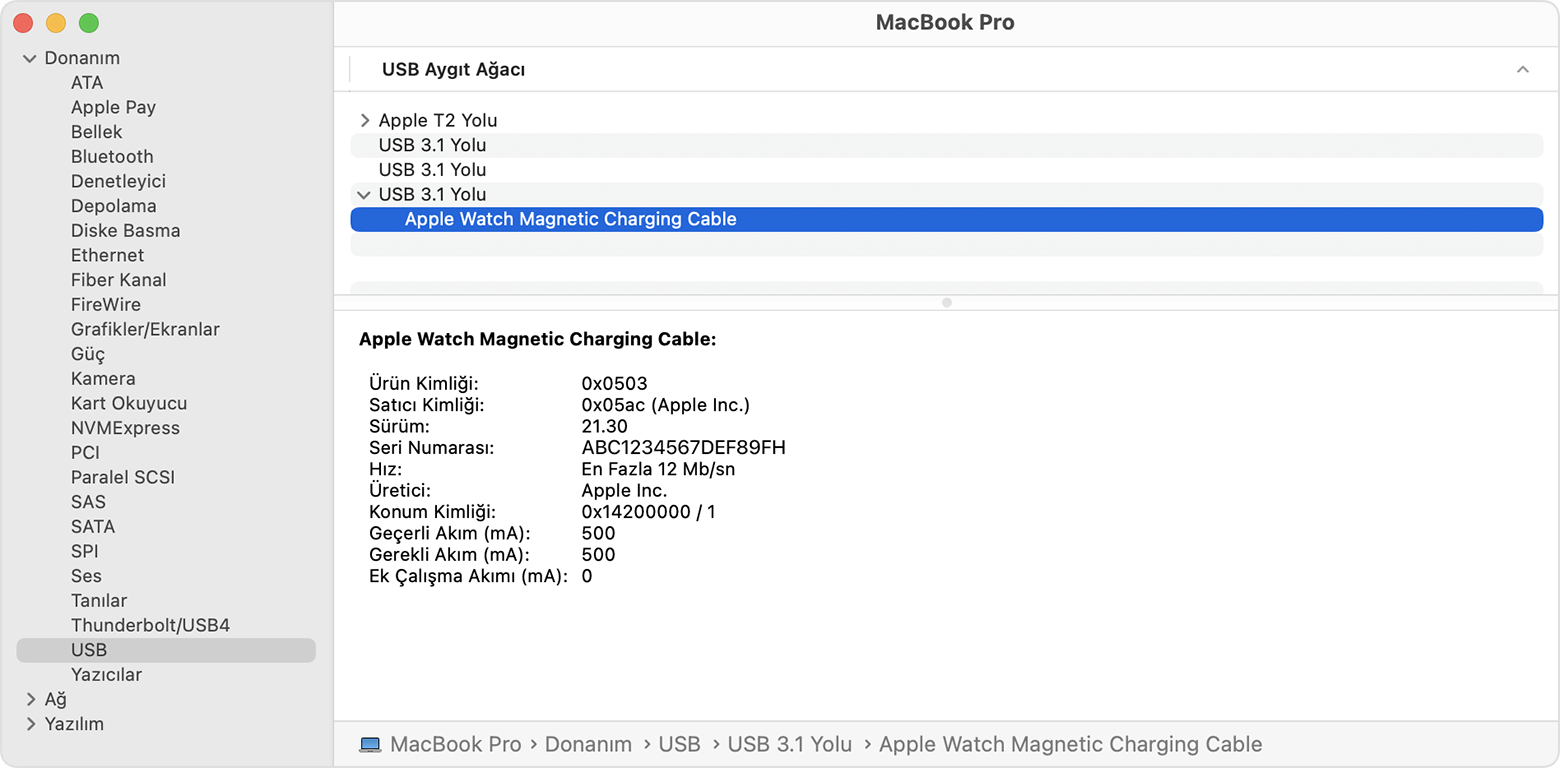 Apple Watch Manyetik Şarj Kablosunun üretici ayrıntılarını gösteren MacBook Pro Sistem Raporu