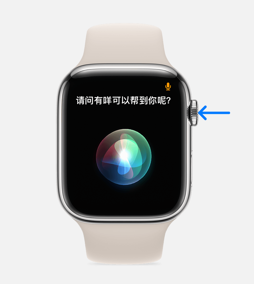 箭头指向 Apple Watch 上的数码表冠
