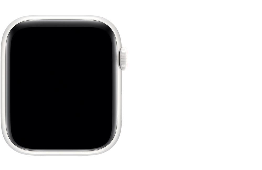 Series 5 Apple Watch Edition セラミック