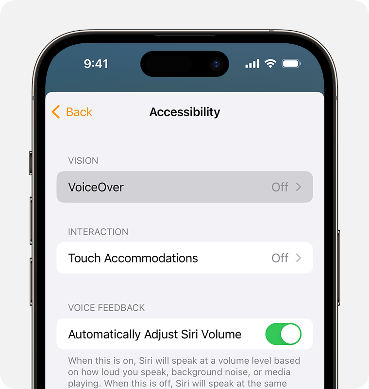 VoiceOver appears at the top of the Accessibility settings screen