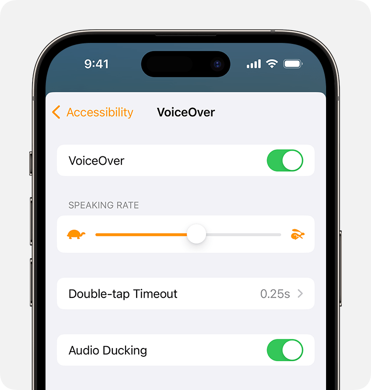 VoiceOver is enabled, Speaking Rate is set to 50%, Double-tap Timeout is .25s seconds and Audio Ducking is enabled