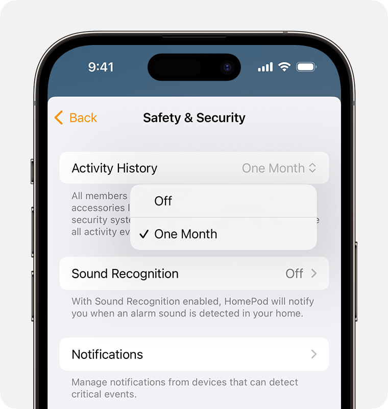 Activity History appears at the top of the Safety & Security screen