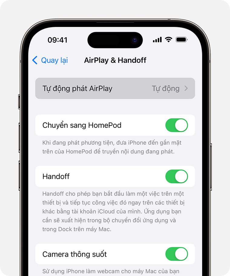 Tùy chọn Tự động phát AirPlay trên màn hình AirPlay & Handoff đang được đặt ở chế độ Tự động