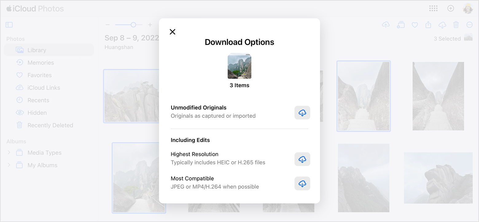 Download Options window