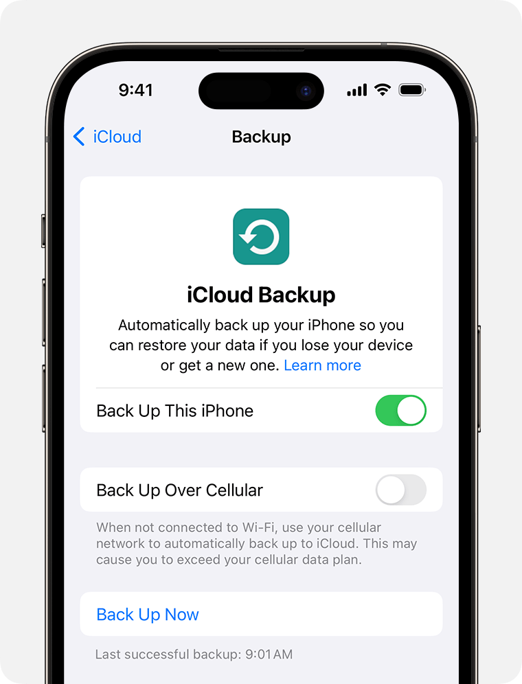 Use iCloud Backup to back up the data on your iPhone that doesn't already sync to iCloud.