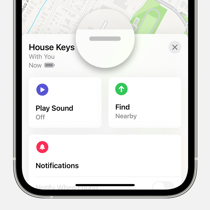 After you tap an item or device in the Find My app, swipe up to see more options.