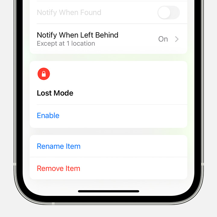 Tap Remove Item to remove an time from Find My and remove Find My Lock.