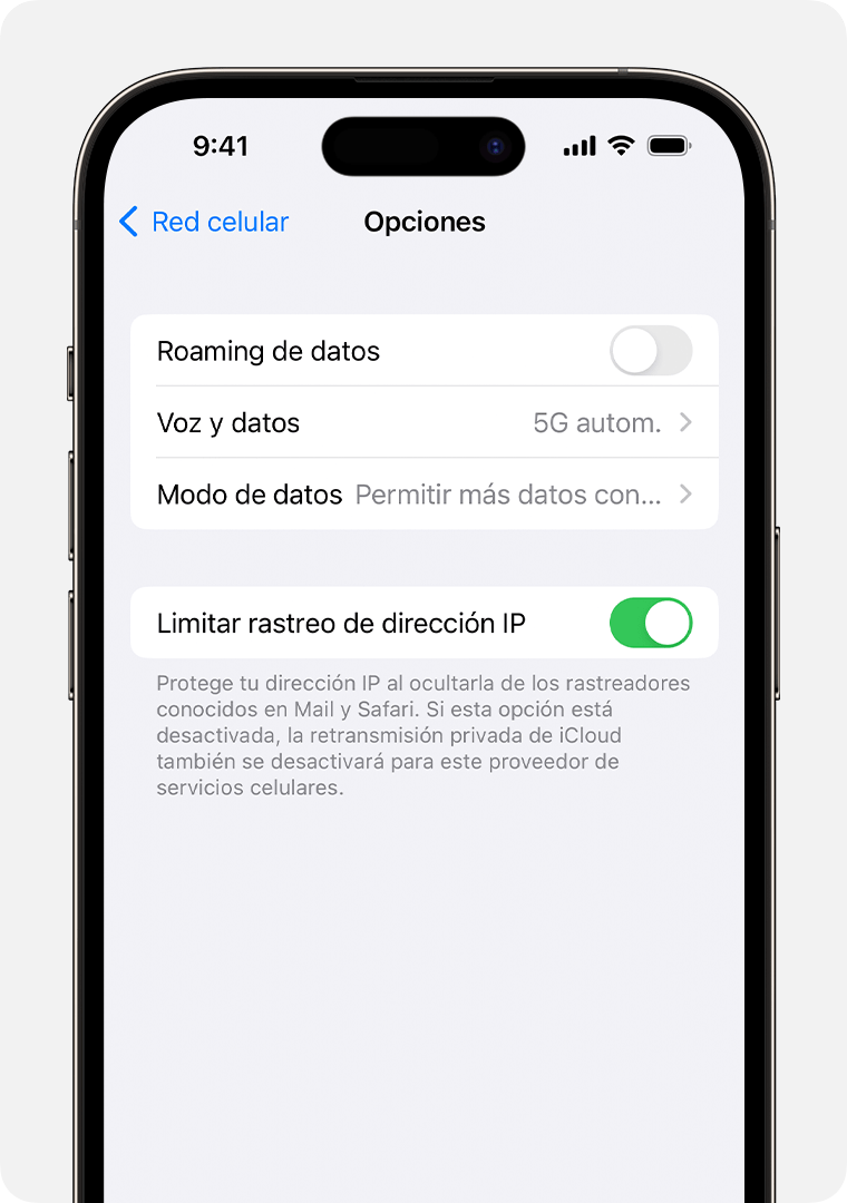 Desactivar la Retransmisión privada para una red móvil específica en Configuración del iPhone