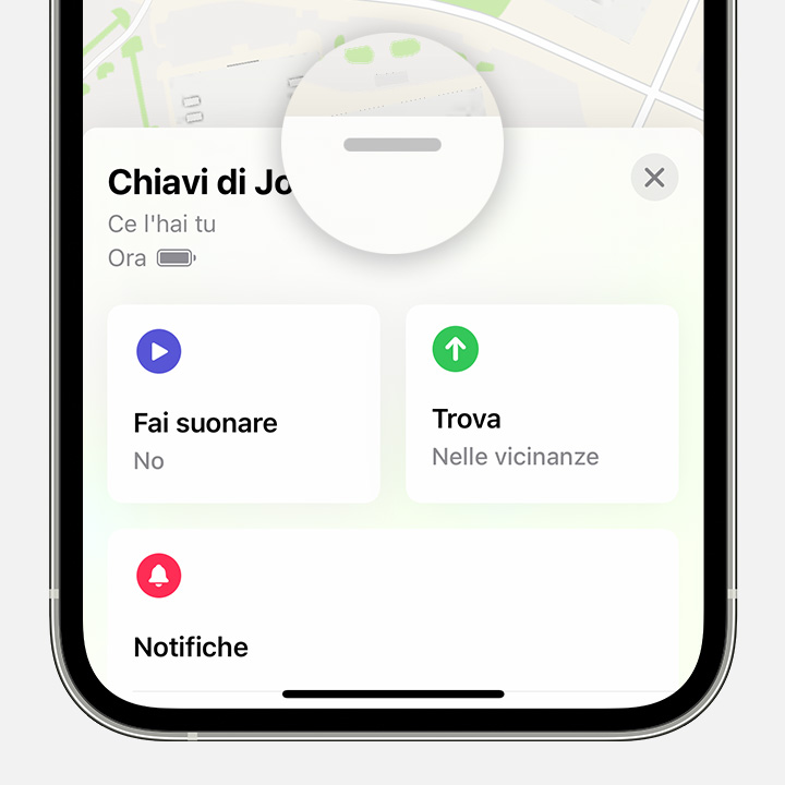 After you tap an item or device in the Find My app, swipe up to see more options.