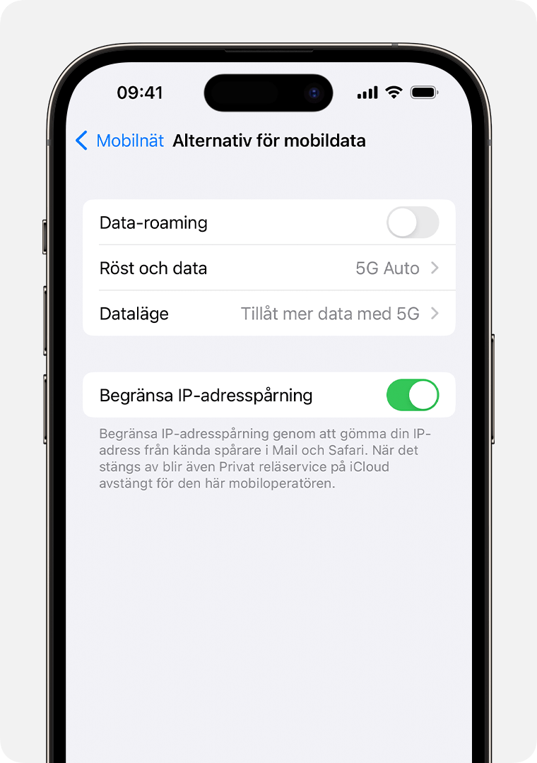 Stänga av Privat reläservice för ett specifikt mobilnätverk i Inställningar på en iPhone