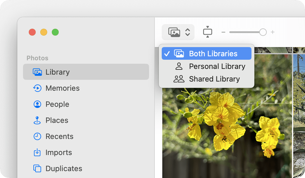 You can toggle between Both Libraries, Personal Library, and Shared Library. 
