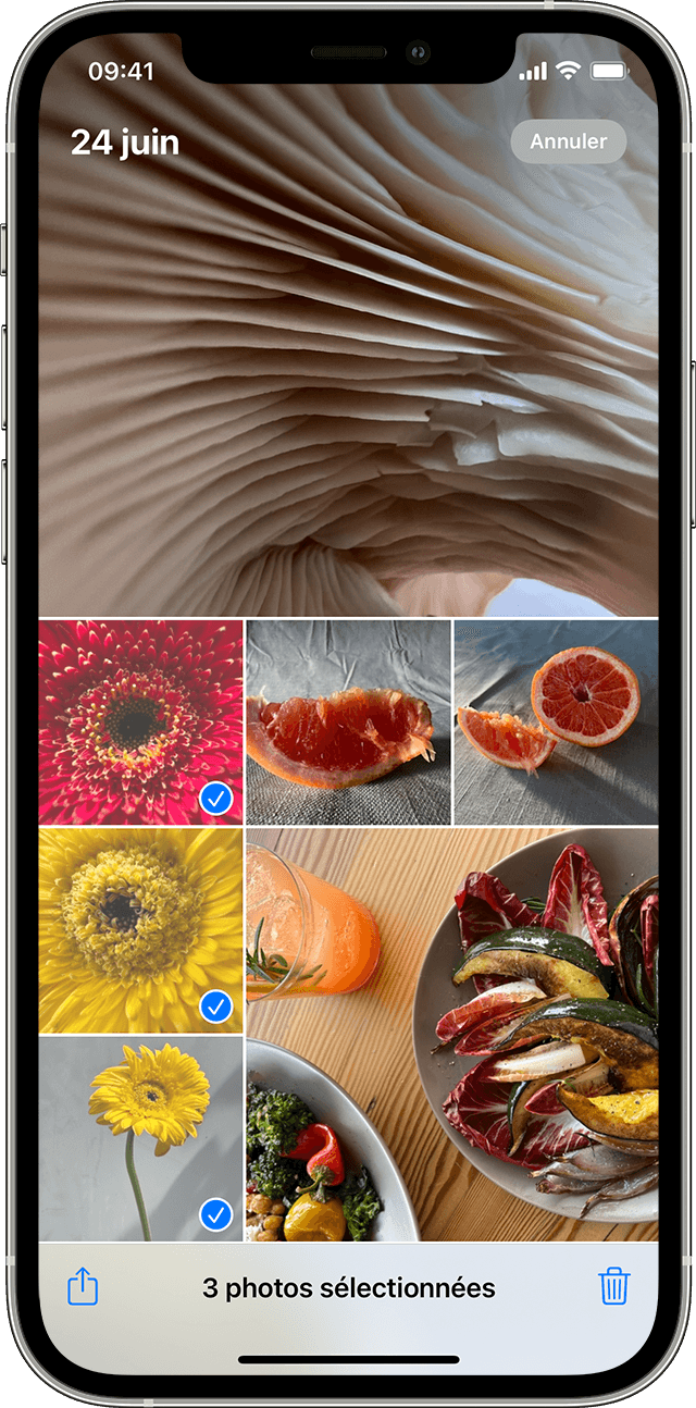 iPhone montrant plusieurs photos sélectionnées dans l’app Photos
