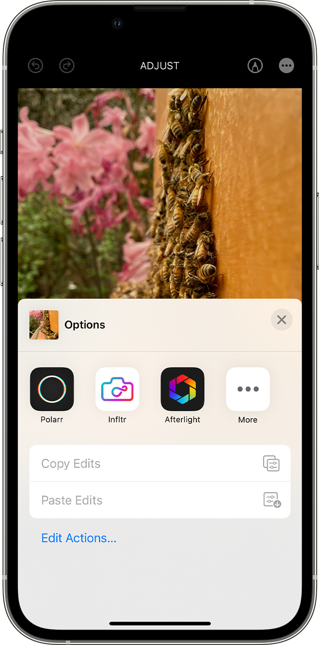 ios-16-iphone-13-pro-photos-edit-more-options-more