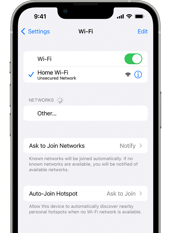 An iPhone showing the Wi-Fi screen. There's a blue tick next to the Wi-Fi network's name.