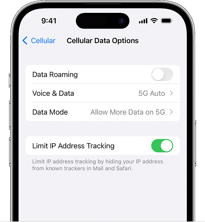 Screenshot showing Cellular Data Options