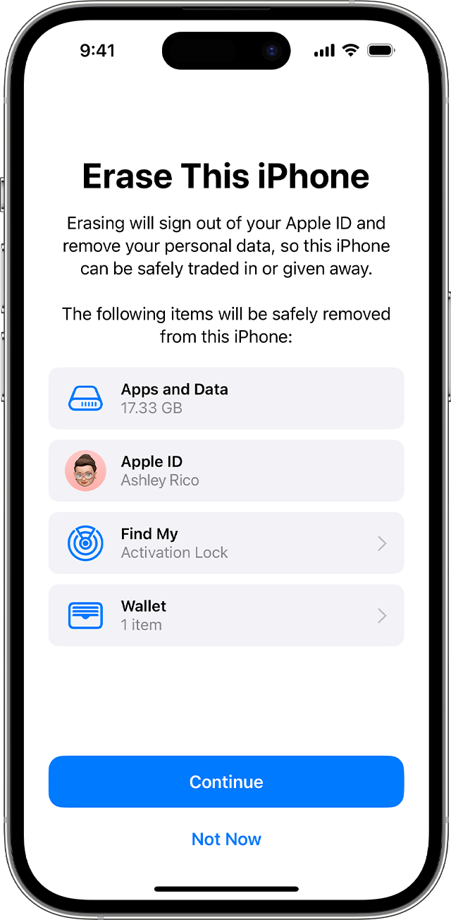 Confirm that you want to erase your device