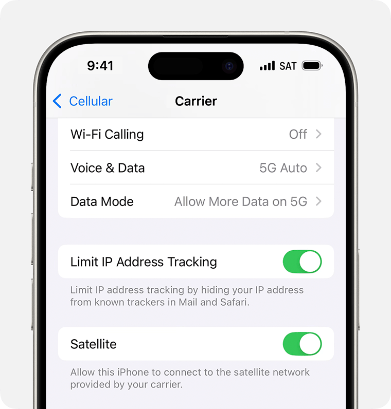 Satellite switch in carrier settings on iPhone.