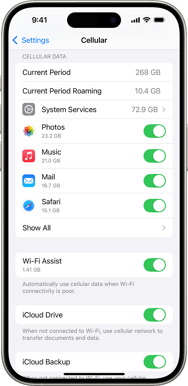 Nabídka nastavení v iOS 18 se zobrazenými volbami mobilních dat