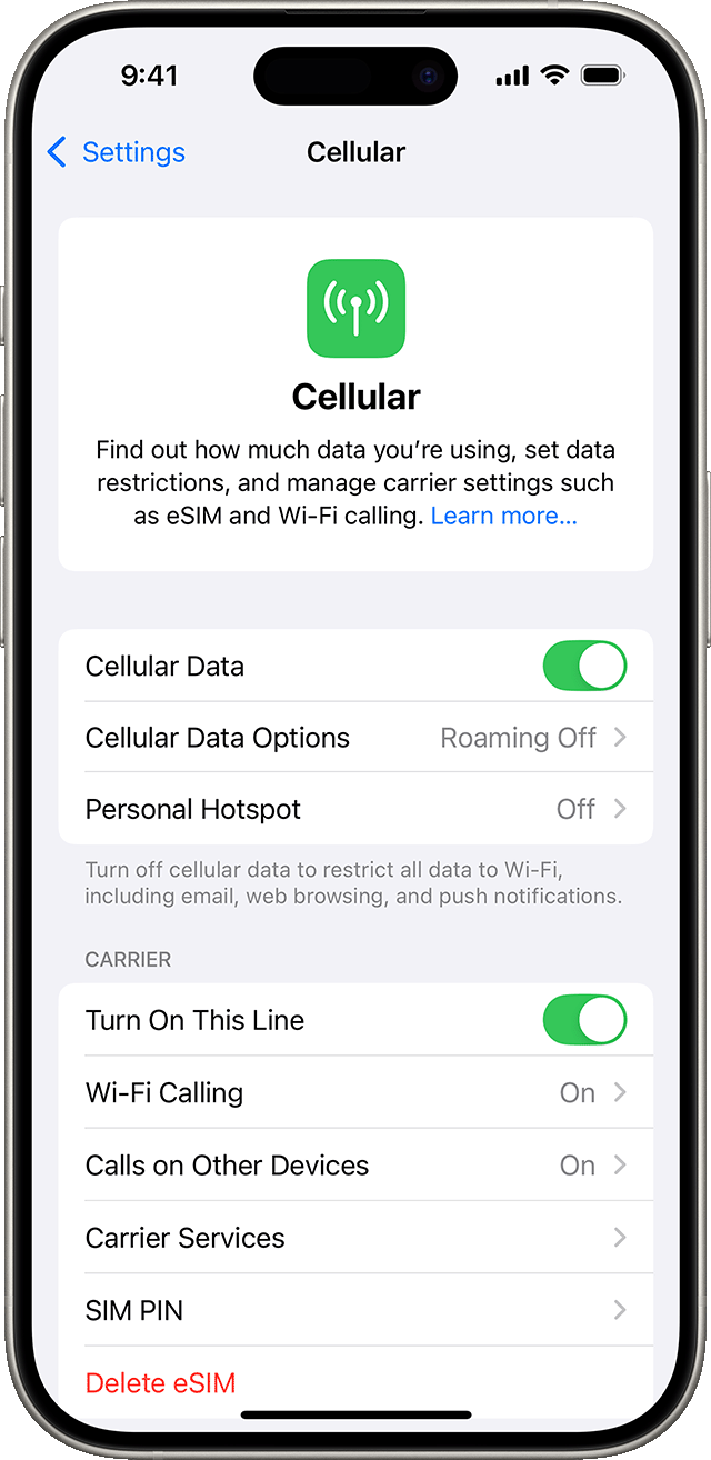 iOS 18 settings menu displaying mobile options