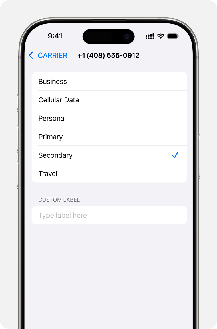 Dual eSIM setup menu with list of cellular plan labels