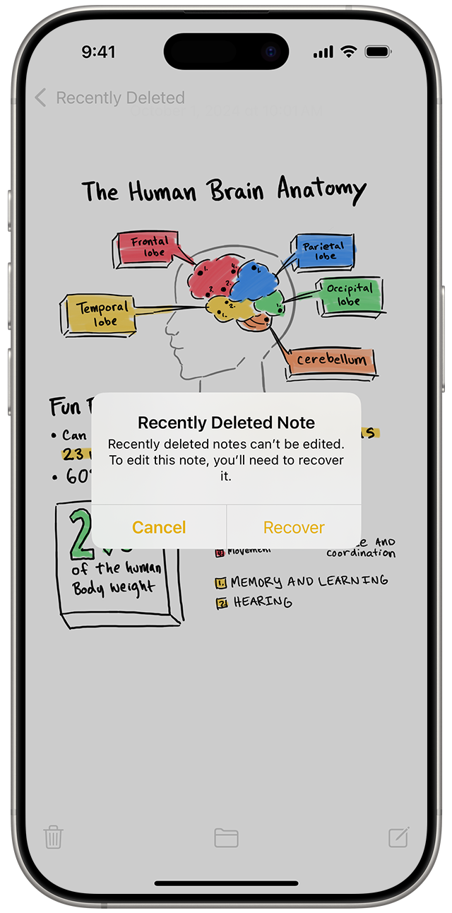 In the Folders list in Notes, you can view recently deleted notes then choose to recover them.