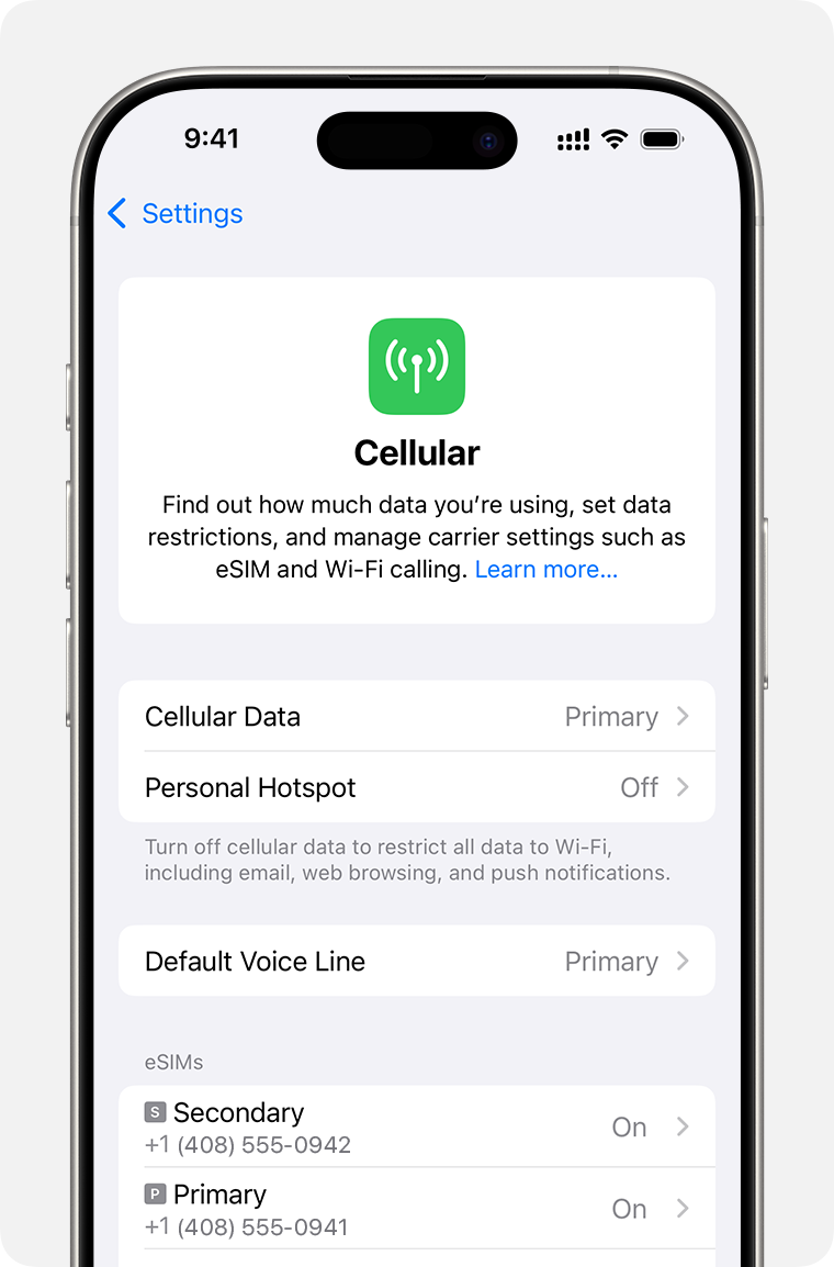 iPhone screen for managing cellular settings for each of your plans