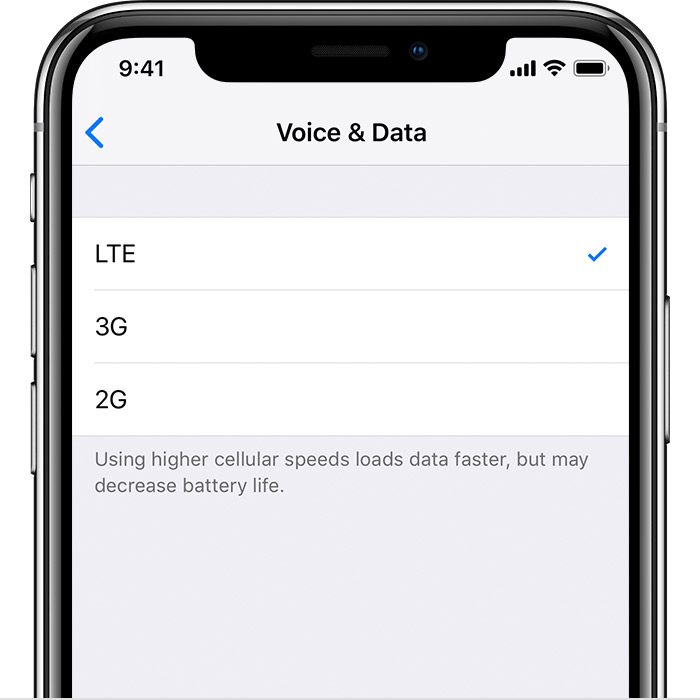 ios12-iphone-x-settings-voice-data-options-lte