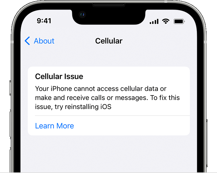 Cellular Issue error message on an iPhone informing the user that the iPhone cannot access cellular data or make and receive calls or messages.