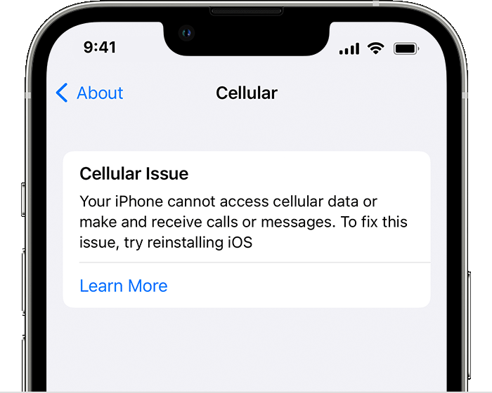 Cellular Issue error message on an iPhone informing the user that the iPhone cannot access mobile data or make and receive calls or messages.