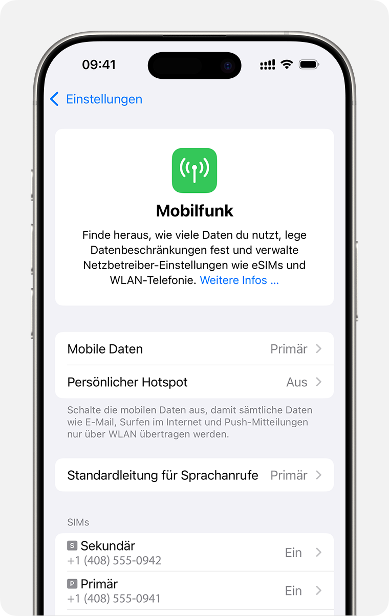 iPhone Bildschirm zum Verwalten der Mobilfunkeinstellungen für jeden deiner Tarife