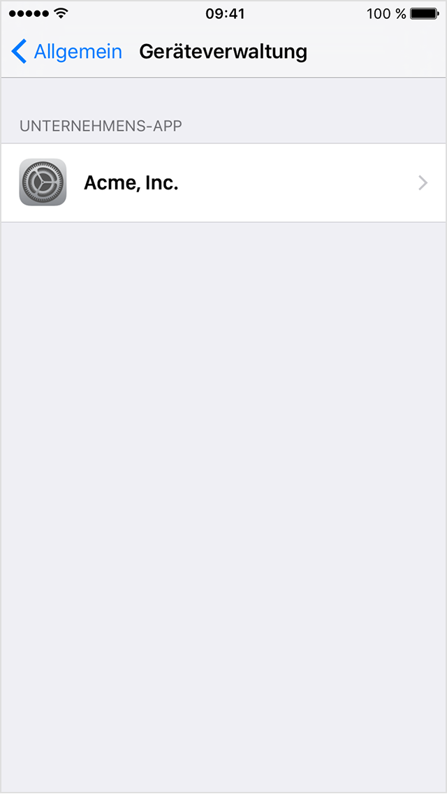  iPhone-Bildschirm mit dem Menü „Profile & Geräteverwaltung“