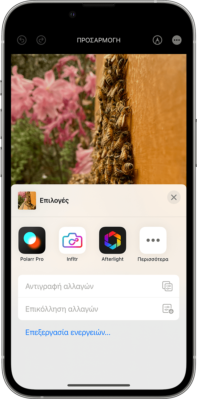 ios-16-iphone-13-pro-photos-edit-more-options-more