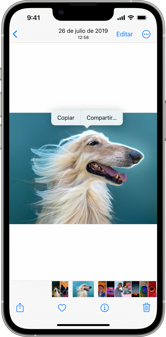 Puedes mantener presionado el sujeto para aislarlo de las fotos en el iPhone con iOS 16 o versiones posteriores.