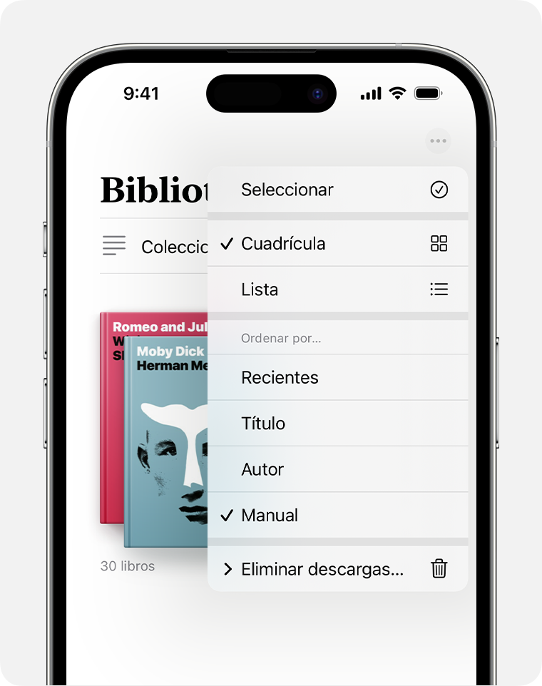 Pantalla de iPhone en que se muestran las opciones para organizar la app Libros 