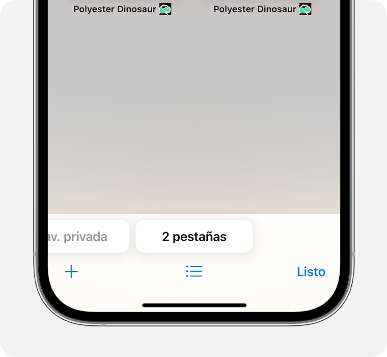 Activar o desactivar la Navegaci n privada en el iPhone Soporte