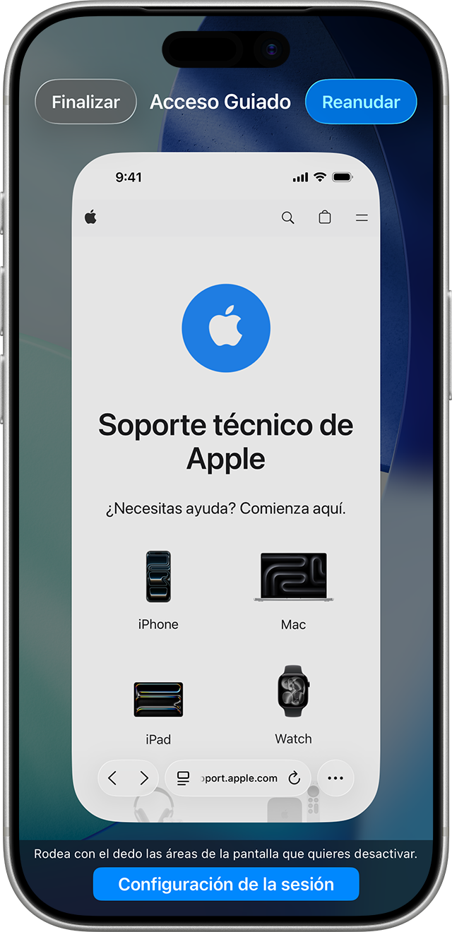 Pantalla de Acceso guiado cuando la sesión está en pausa.