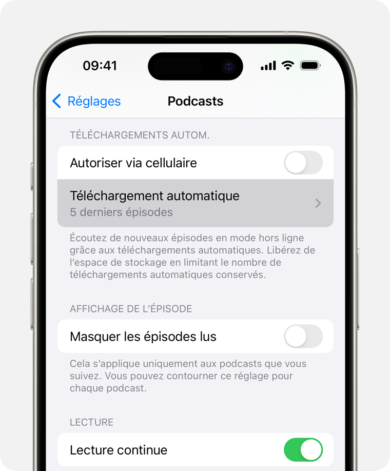 Un iPhone affichant l’option Téléchargement automatique dans Réglages.